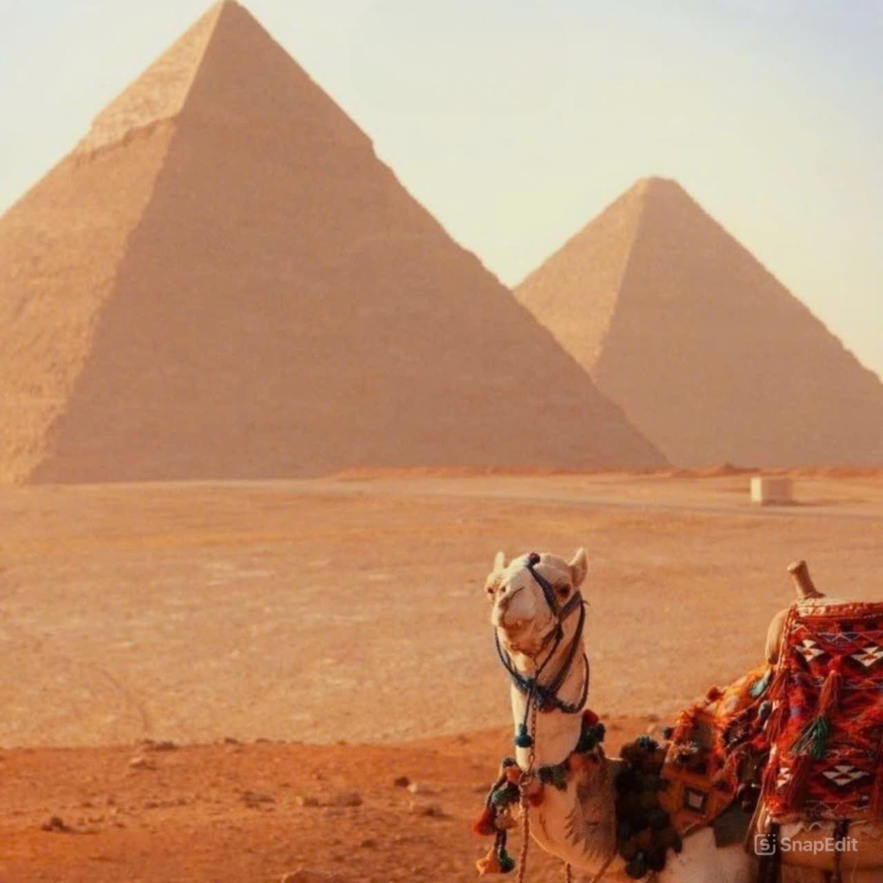 DU LỊCH AI CẬP JORDAN CÓ KHÓ KHÔNG NÊN ĐI THỜI GIAN NÀO GIỚI THIỆU TOUR ĐỘC LẠ LIÊN TUYẾN TRUNG ĐÔNG HUYỀN BÍ JORDAN AI CẬP MỚI NHẤT 2025 HÀNH TRÌNH KHÁM PHÁ NHỮNG VÙNG ĐẤT TRUYỀN THUYẾT 9 NGÀY 8 ĐÊM KHỞI HÀNH TỪ HÀ NỘI TP HỒ CHÍ MINH 