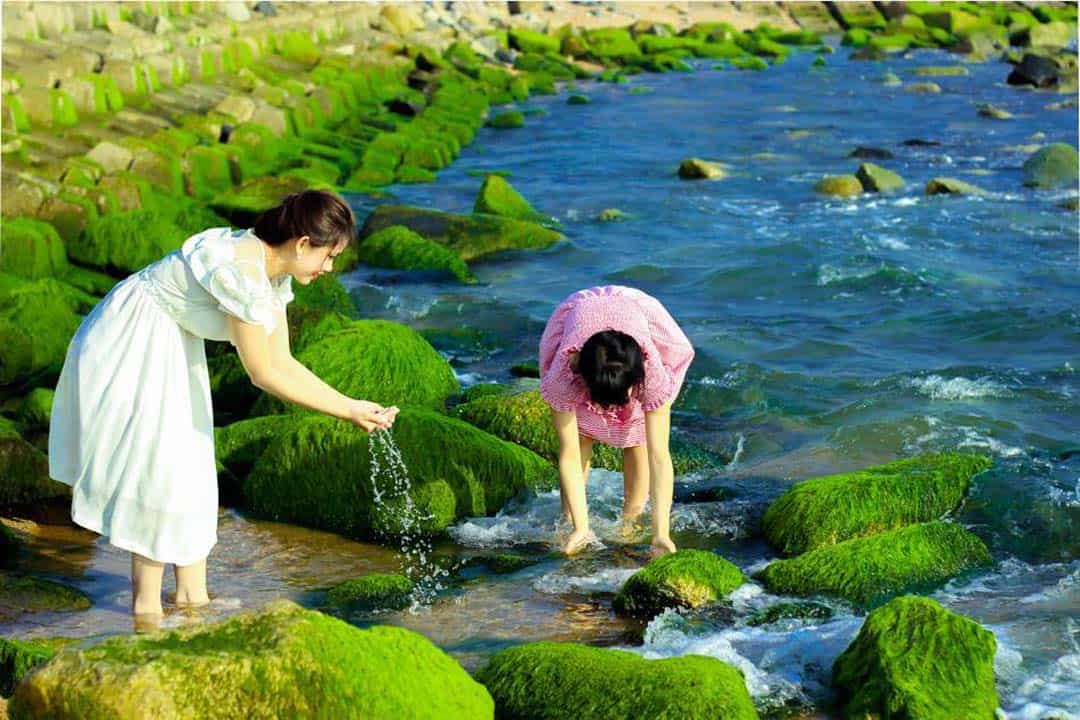 DU LỊCH BIỂN MIỀN TRUNG MÙA HÈ NÊN ĐI ĐÂU GỢI Ý TOUR QUY NHƠN – PHÚ YÊN 3 NGÀY 2 ĐÊM KHỞI HÀNH TỪ HÀ NỘI TP HCM CHỦ NHẬT HÀNG TUẦN TOUR GIÁ RẺ ĐẶT LIỀN TAY NHẬN NHIỀU KHUYẾN MÃI (SUMMIT TRAVEL)